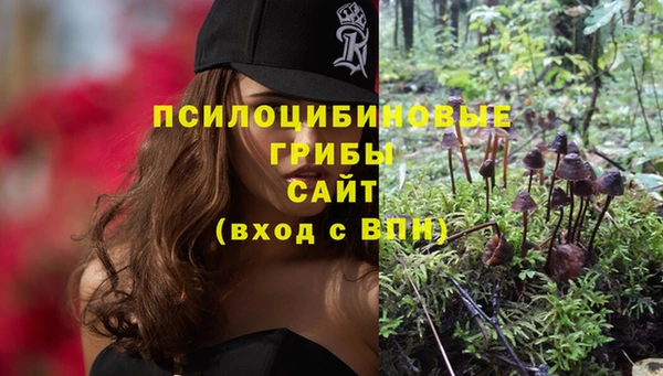 apvp Касимов