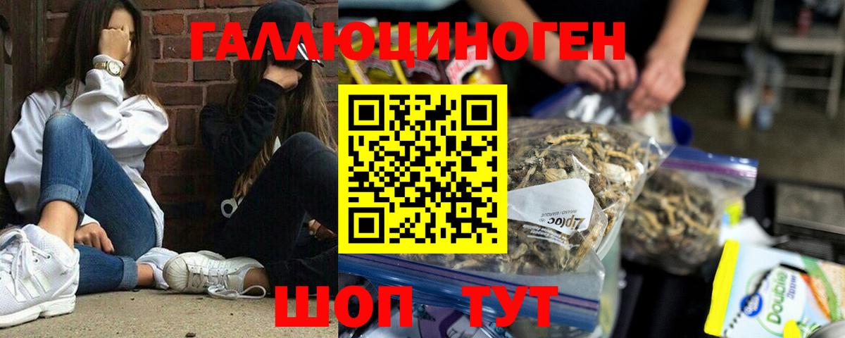Фролово  Галлюциногенные грибы ЛСД  дарнет шоп  Псилоцибиновые грибы ЛСД  Вход с VPN 